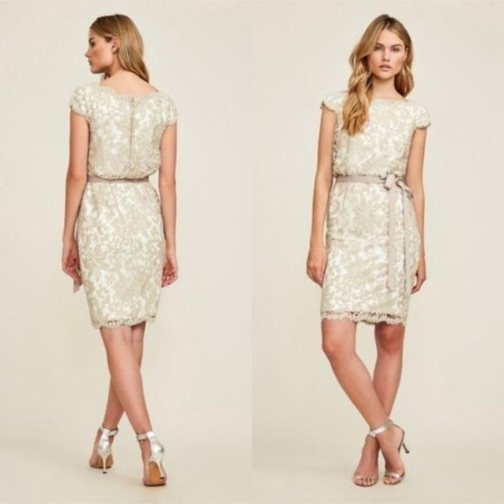 Gorgeous Tadashi Shoji Lace